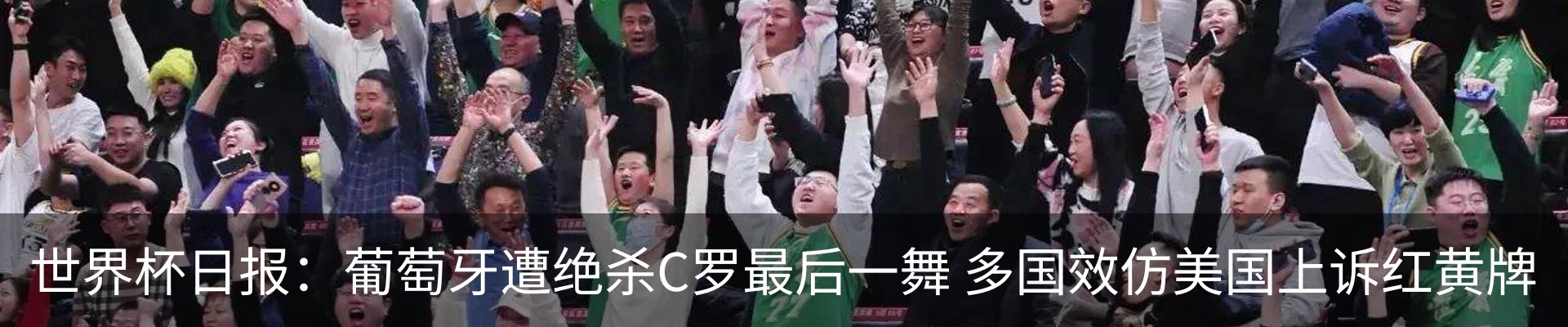 新闻动态