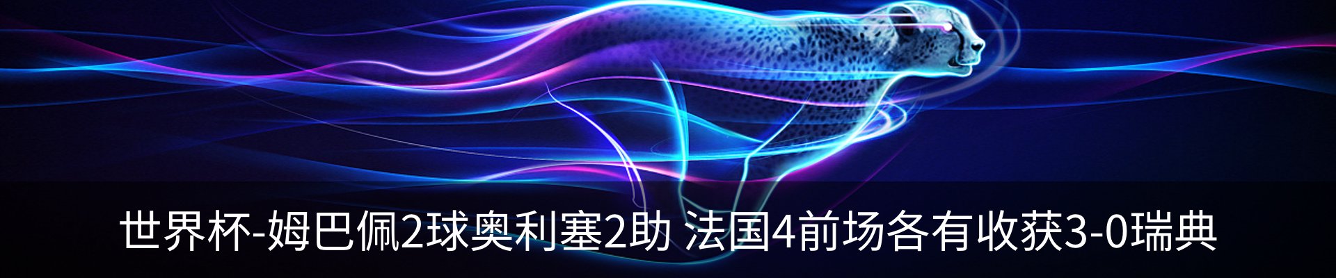 新闻动态