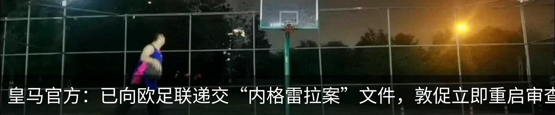 新闻动态