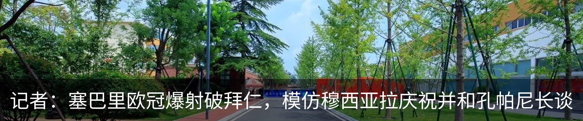 新闻动态