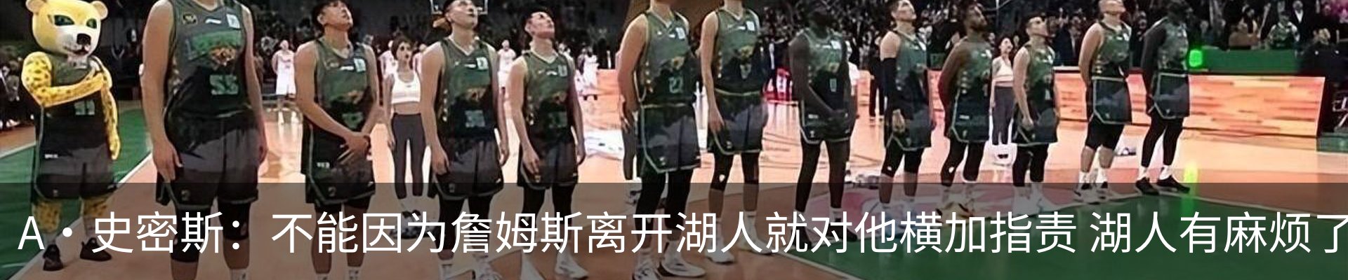 新闻动态